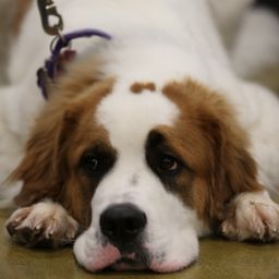 photograph by PeterW